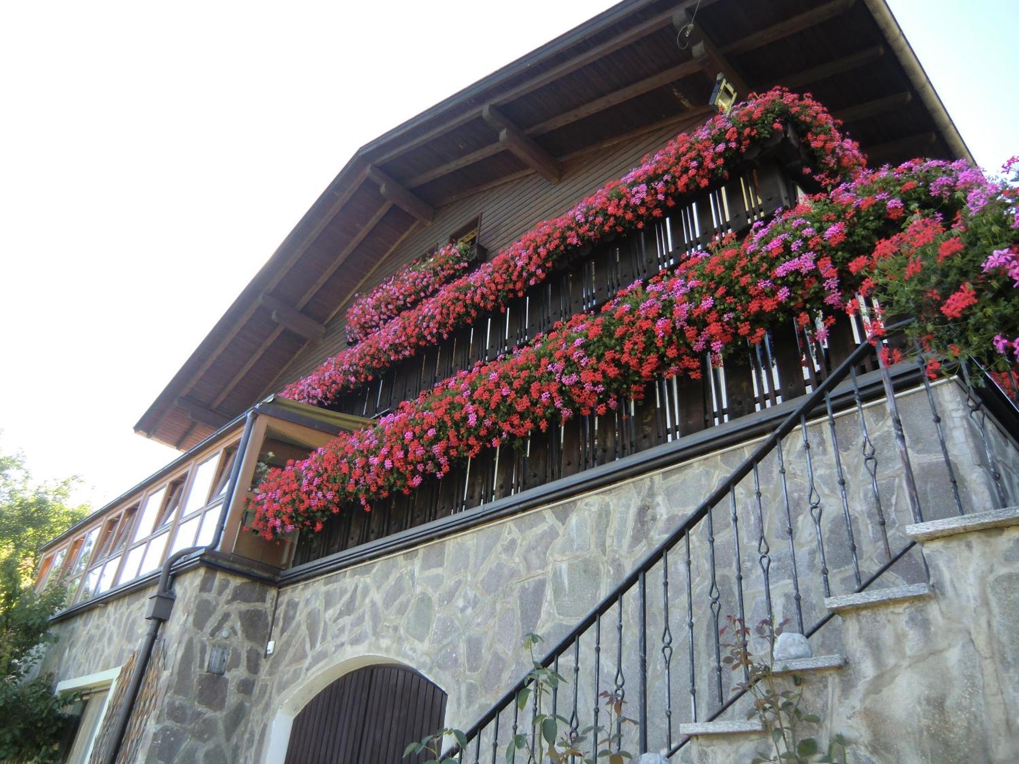 Alpenblick Bed & Breakfast Vipiteno Exterior photo