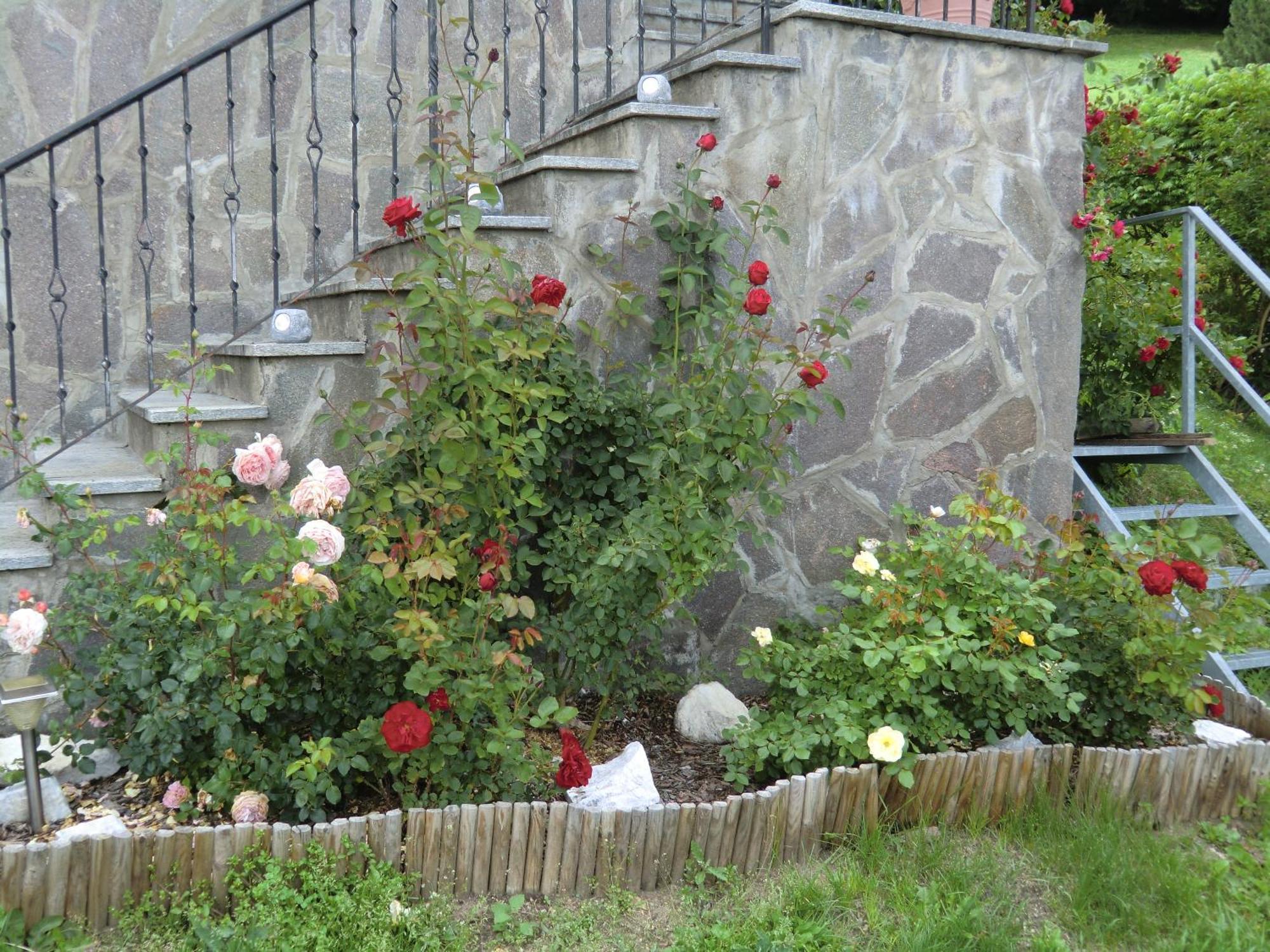 Alpenblick Bed & Breakfast Vipiteno Exterior photo